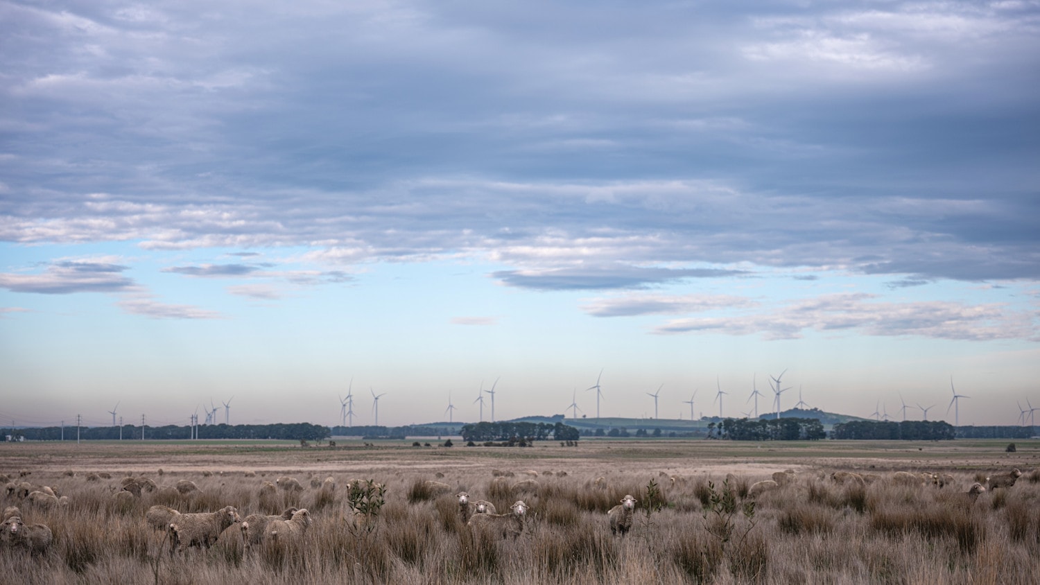 How are wind farm sites chosen image