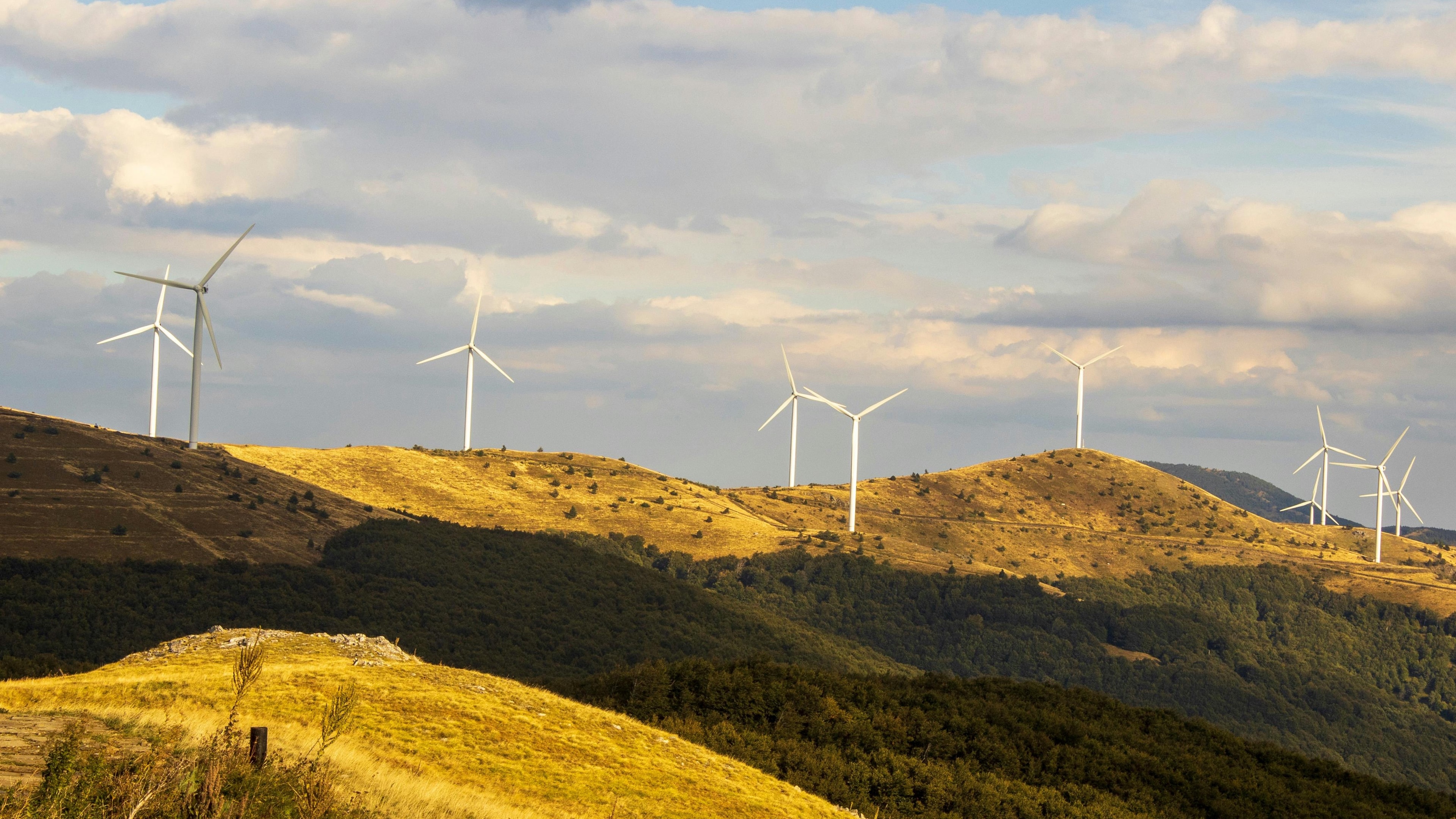 How wind farms are developed